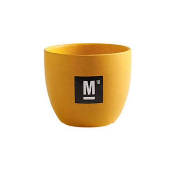 ขาย กระถางต้นไม้สำหรับตกแต่งบ้านและสวน Pastel Flower Pot III ลดพิเศษ