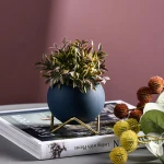 ขาย กระถางต้นไม้สำหรับตกแต่งบ้านและสวน Pastel Flower Pot IV ราคา
