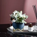 ขาย กระถางต้นไม้สำหรับตกแต่งบ้านและสวน Pastel Flower Pot IV พิเศษ