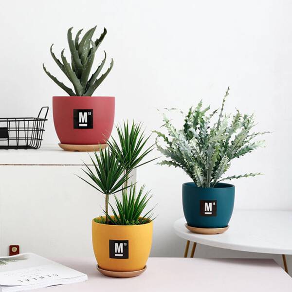 ขาย กระถางต้นไม้สำหรับตกแต่งบ้านและสวน Pastel Flower Pot III ลด พิเศษ ราคา