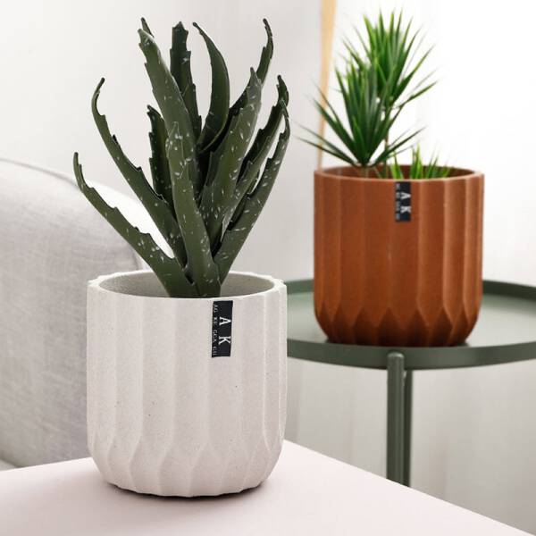 ขาย กระถางต้นไม้สำหรับตกแต่งบ้านและสวน Pastel Flower Pot II พิเศษ