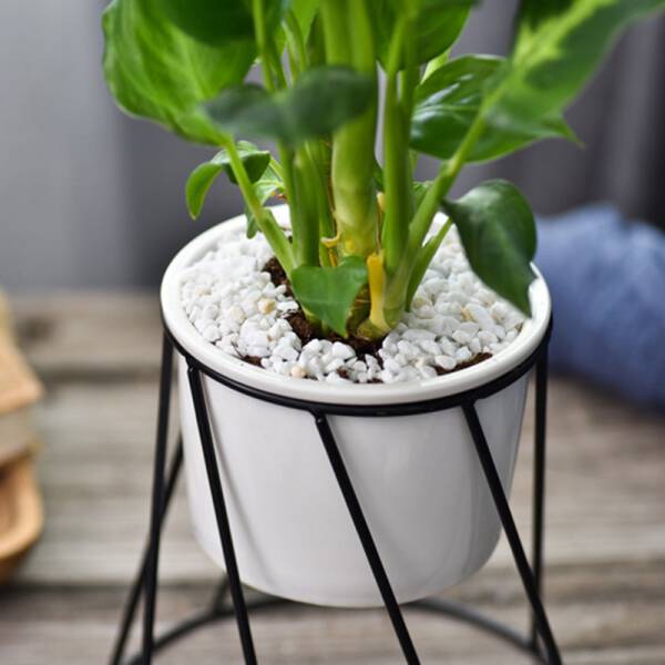 ขาย ชุดกระถางต้นไม้มงคลพร้อมโครงเหล็ก Twist Flower Pot ลดราคา