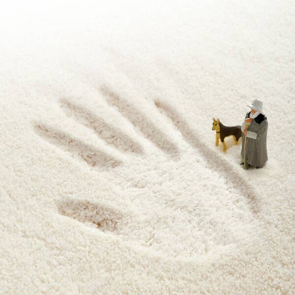 ขาย พรมสำหรับตกแต่งบ้าน Animal Decorative Rug ลดราคา