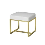 ขาย เก้าอี้สำหรับแต่งบ้าน แบบ B ราคาพิเศษ Dressing Stool