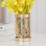 ขาย แจกันใส่ดอกไม้สำหรับตกแต่งบ้าน Golden Decorating Vase II พิเศษ