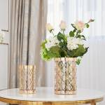 ขาย แจกันใส่ดอกไม้สำหรับตกแต่งบ้าน Golden Decorating Vase II ราคา