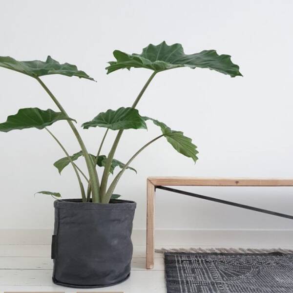 ม้านั่งไม้แท้อเนกประสงค์สไตล์ลอฟท์ ราคาพิเศษ