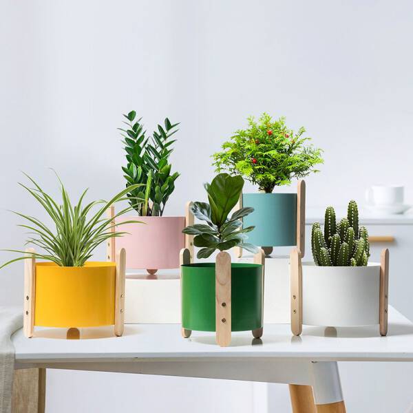 ขาย กระถางต้นไม้สำหรับตกแต่งบ้านและสวน Pastel Flower Pot ราคาลดพิเศษ