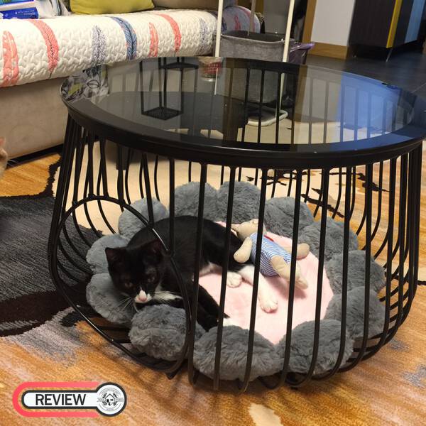 รีวิว โต๊ะกลางท็อปกระจกนิรภัยทรงตะกร้า - Pet Basket Coffee Table