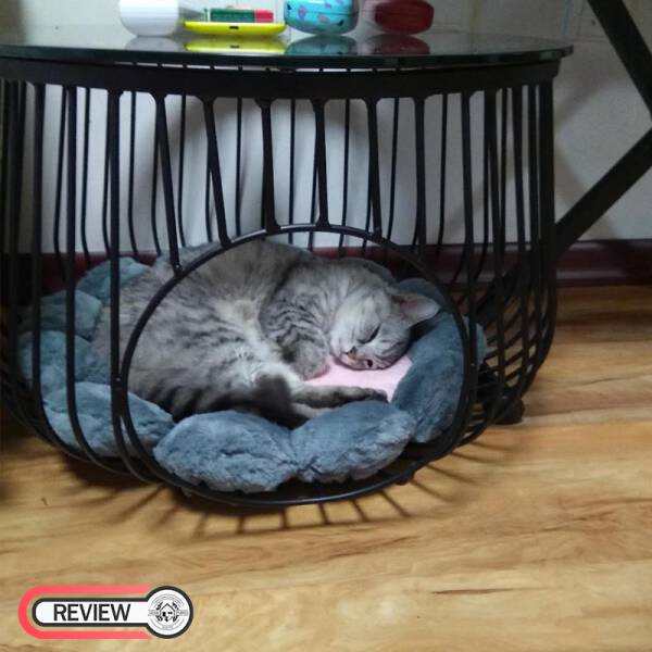 รีวิว โต๊ะกลางท็อปกระจกนิรภัยทรงตะกร้า - Pet Basket Coffee Table