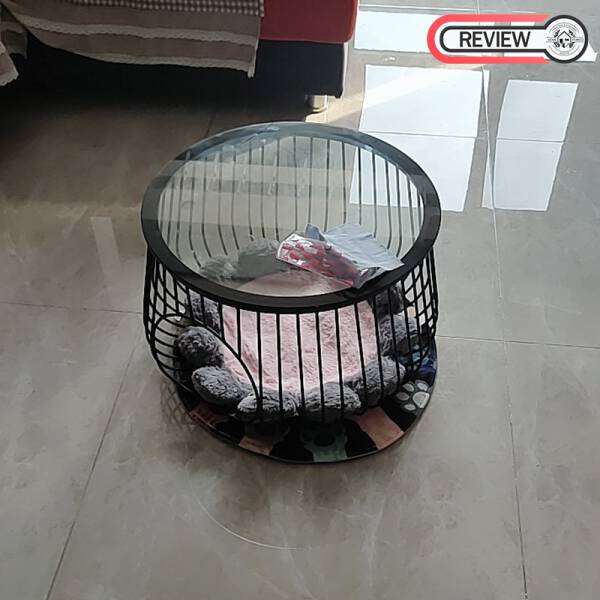 รีวิว โต๊ะกลางท็อปกระจกนิรภัยทรงตะกร้า - Pet Basket Coffee Table
