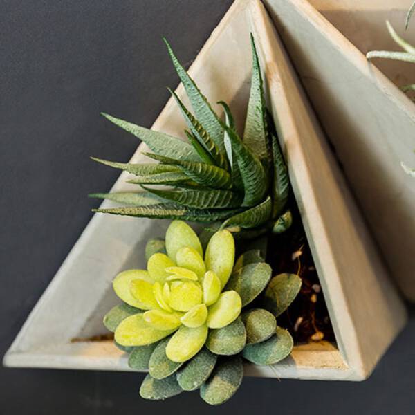ขาย ชุดประถางต้นไม้ติดผนัง Triangle Garden Hanger ลด ราคา