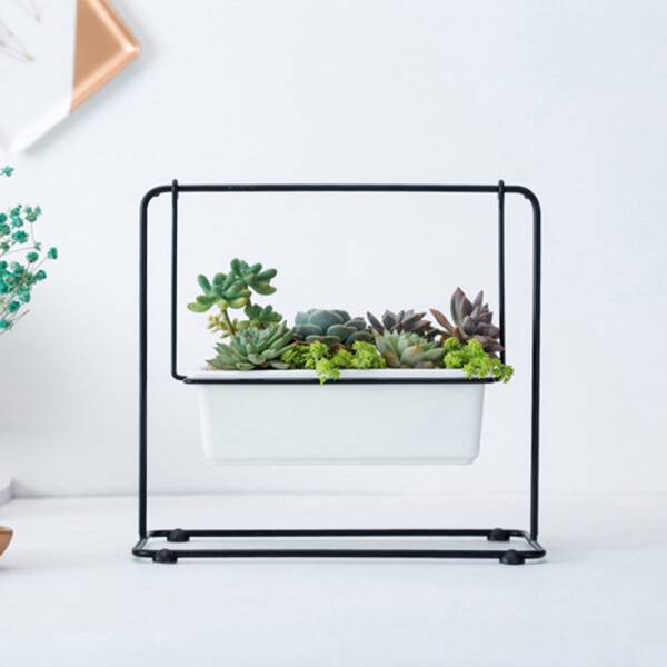 ขาย ชุดปลูกต้นไม้ชิงช้า Swing Flower Pot ราคา สุด พิเศษ