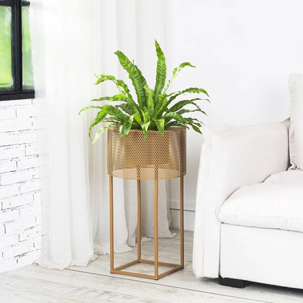 ขาย กระถางต้นไม้สำหรับตกแต่งบ้าน Decorative Flower Pot ลดราคา