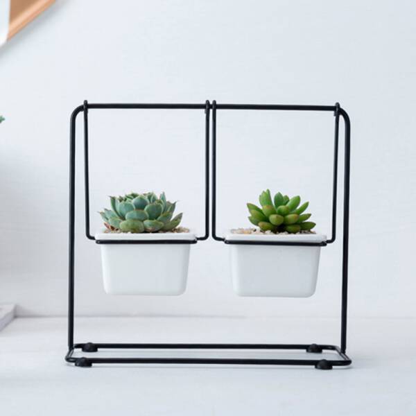 ขาย ชุดปลูกต้นไม้ชิงช้า Swing Flower Pot ราคาสุดพิเศษ