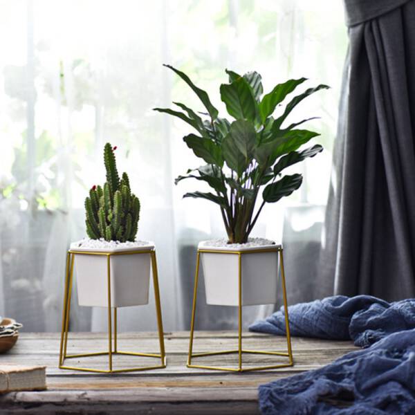 ขาย ชุดกระถางต้นไม้มงคลทรงหกเหลี่ยม Hexagon Stand Flower Pot พิเศษ