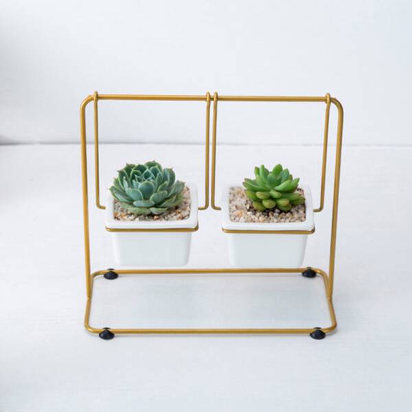 ขาย ชุดปลูกต้นไม้ชิงช้า Swing Flower Pot สุด พิเศษ