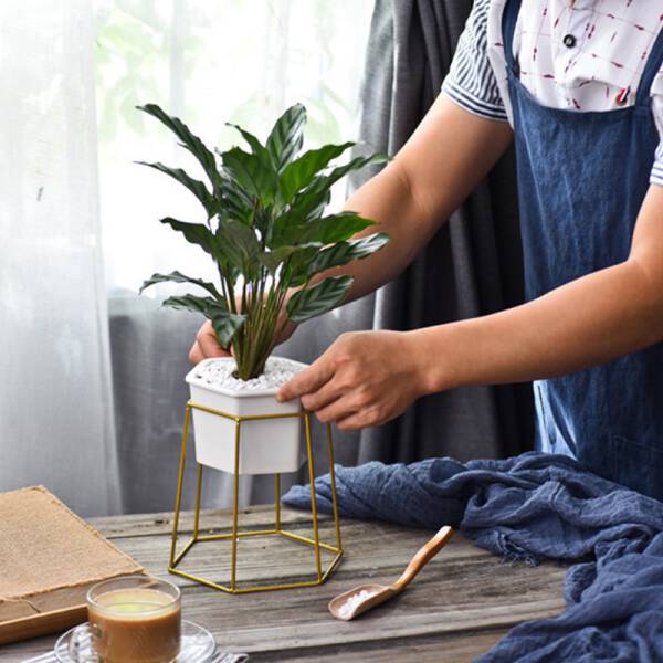ขาย ชุดกระถางต้นไม้มงคลทรงหกเหลี่ยม Hexagon Stand Flower Pot ราคาพิเศษ
