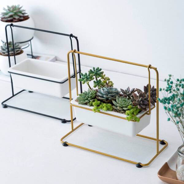 ขาย ชุดปลูกต้นไม้ชิงช้า Swing Flower Pot สุดพิเศษ