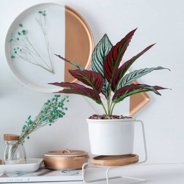 ขาย กระถางต้นไม้ตกแต่งบ้าน Chair Flower Pot ลด พิเศษ