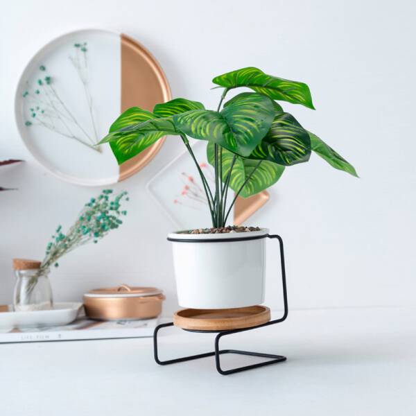 ขาย กระถางต้นไม้ตกแต่งบ้าน Chair Flower Pot ราคาพิเศษ