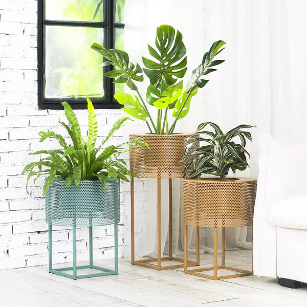 ขาย กระถางต้นไม้สำหรับตกแต่งบ้าน Decorative Flower Pot พิเศษ