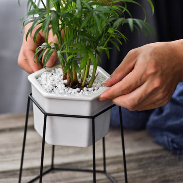 ขาย ชุดกระถางต้นไม้มงคลทรงหกเหลี่ยม Hexagon Stand Flower Pot ลดราคาพิเศษ