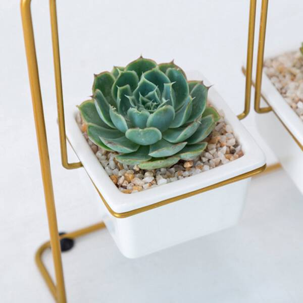 ขาย ชุดปลูกต้นไม้ชิงช้า Swing Flower Pot ราคา พิเศษ