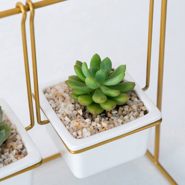ขาย ชุดปลูกต้นไม้ชิงช้า Swing Flower Pot ราคาพิเศษ
