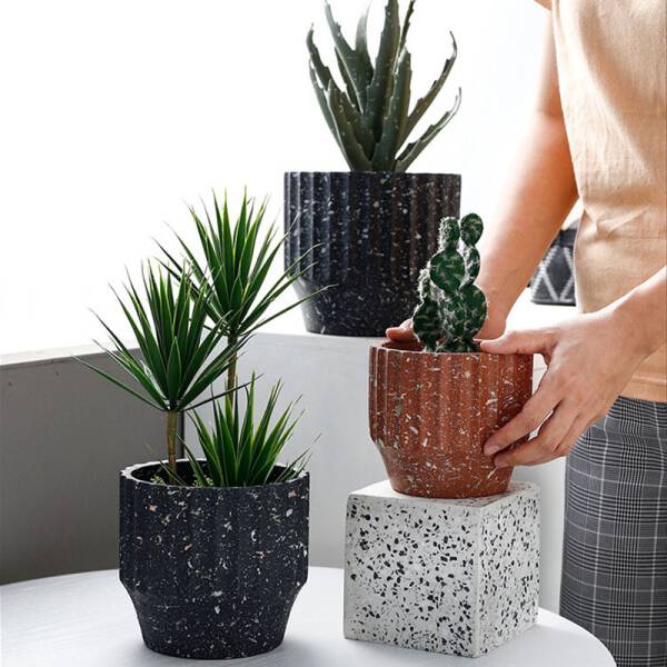 ขาย กระถางต้นไม้สำหรับตกแต่งบ้านและสวน Decorative Flower Pot II ราคา