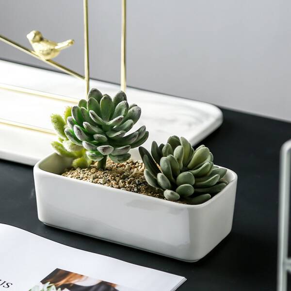 ขาย กระถางต้นไม้แขวนผนัง Pot Hanging ราคา