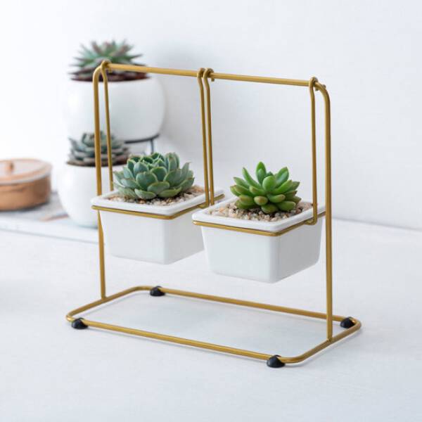 ขาย ชุดปลูกต้นไม้ชิงช้า Swing Flower Pot