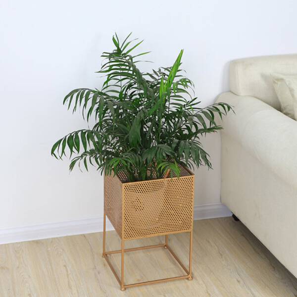 ขาย กระถางต้นไม้สำหรับตกแต่งบ้านและสวน Decorating Flower Pot A ราคาพิเศษ
