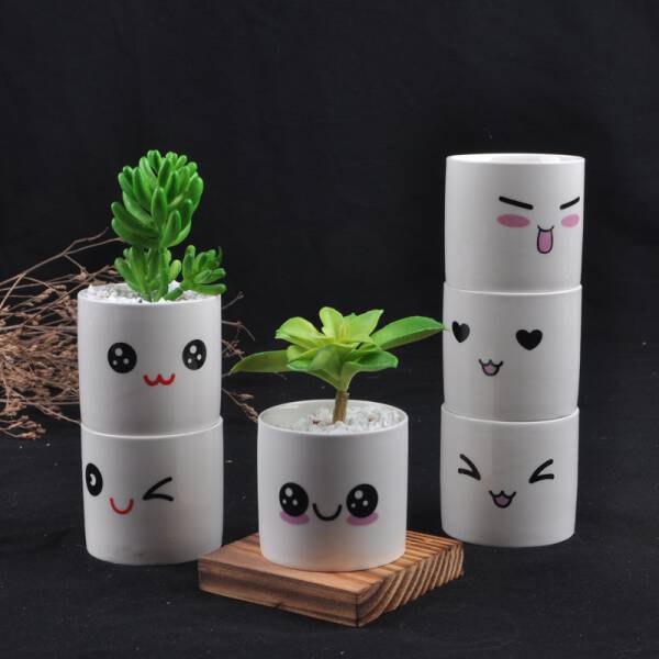 ขาย แก้วกระถางต้นไม้ลายน่ารัก Baew Flower Pot ราคา ลด