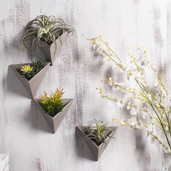 ขาย ชุดประถางต้นไม้ติดผนัง Triangle Garden Hanger ราคา พิเศษ