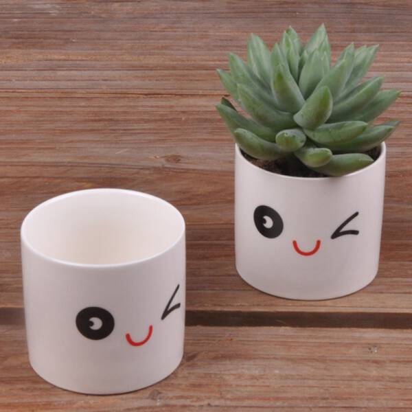 ขาย แก้วกระถางต้นไม้ลายน่ารัก Baew Flower Pot