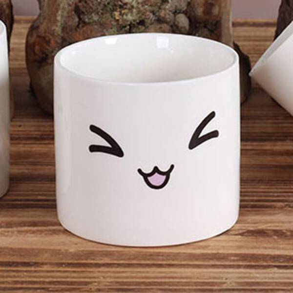 ขาย แก้วกระถางต้นไม้ลายน่ารัก Baew Flower Pot พิเศษ