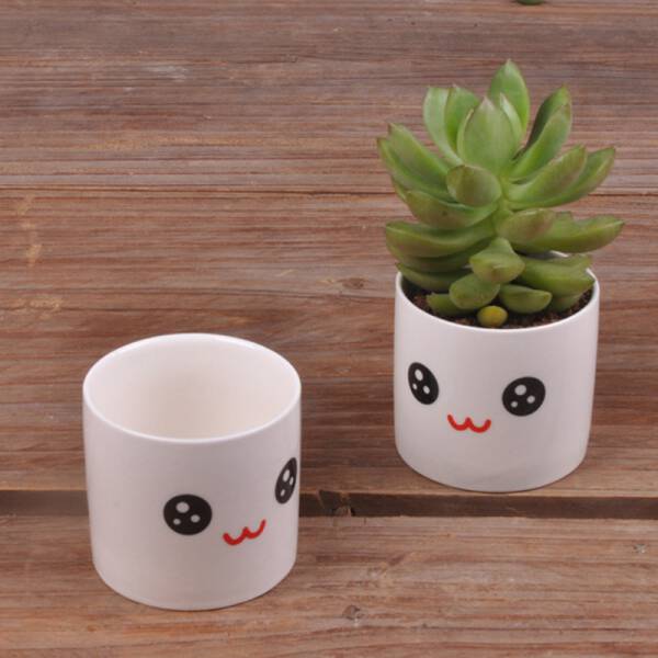 ขาย แก้วกระถางต้นไม้ลายน่ารัก Baew Flower Pot ลดพิเศษ