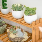 ขาย ชั้นวางกระถางต้นไม้ Table Garden Shelf