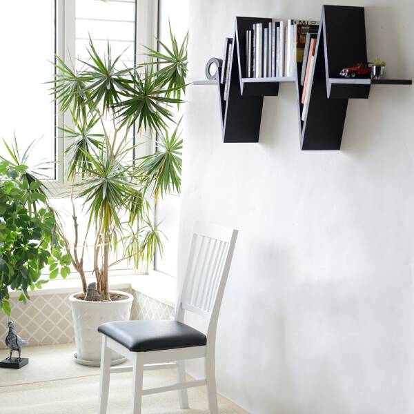 ขาย ชั้นวางหนังสือติดผนัง Heart Rate Wall Hanger ราคาพิเศษ