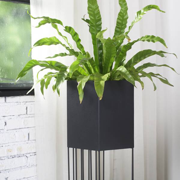 ขาย กระถางต้นไม้สำหรับตกแต่งบ้านและสวน Hexagon Decorative Flower Pot พิเศษราคา