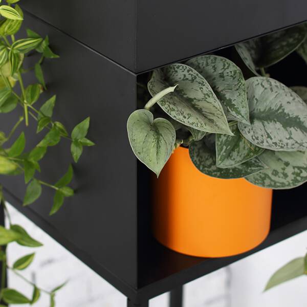ขาย ชั้นวางหนังสืออเนกประสงค์ Homie Versatile Shelf ลด ราคา