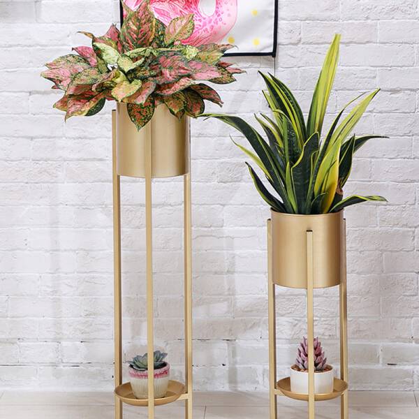 ขาย กระถางต้นไม้ตกแต่งบ้านและสวน Golden Flower Pot B พิเศษ
