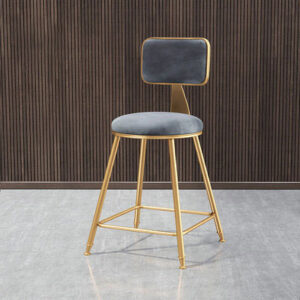 เก้าอี้ผ้ากำมะหยี่สไตล์พรีเมี่ยม - Velvet Chair