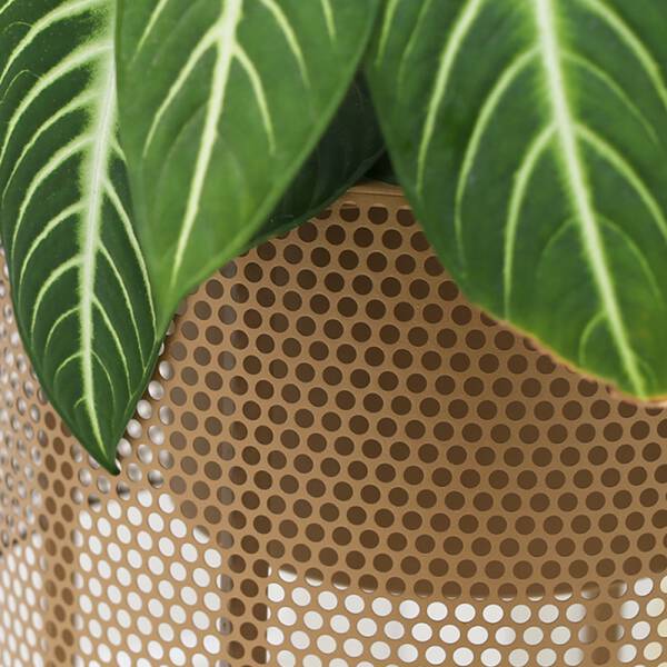 ขาย กระถางต้นไม้สำหรับตกแต่งบ้าน Decorative Flower Pot พิเศษ ราคา