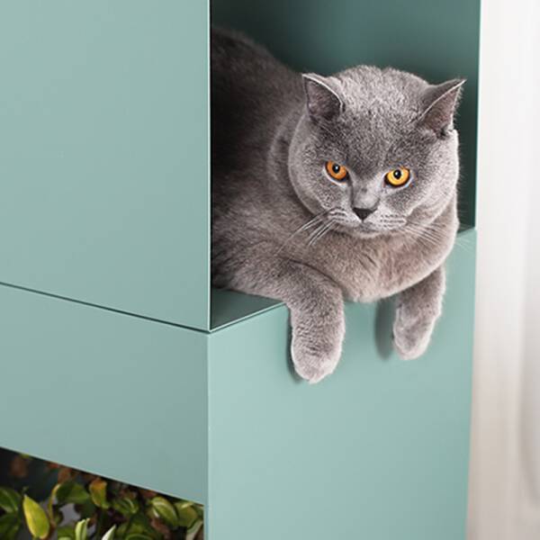 ขาย ชั้นวางหนังสืออเนกประสงค์ Homie Versatile Shelf ลด พิเศษ