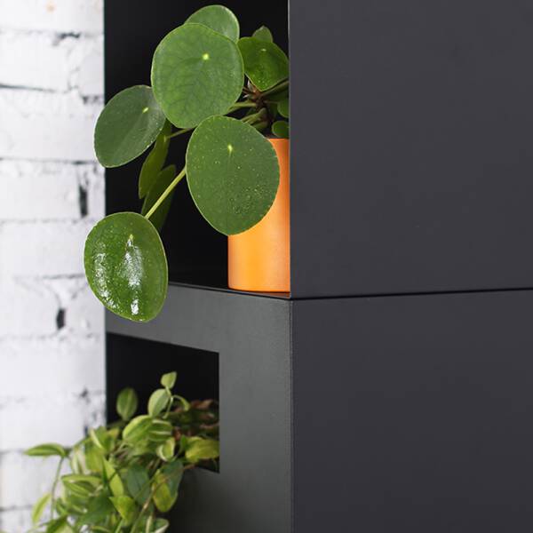 ขาย ชั้นวางหนังสืออเนกประสงค์ Homie Versatile Shelf ลดราคา