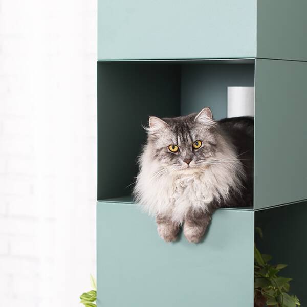 ขาย ชั้นวางหนังสืออเนกประสงค์ Homie Versatile Shelf ราคา พิเศษ