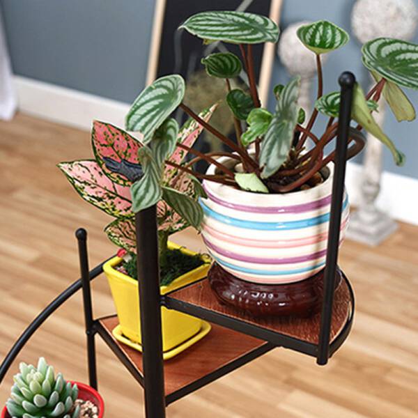 ขาย ชั้นวางกระถางต้นไม้บันไดวน Spiral Staircase Flower Pot Shelf ลดพิเศษ