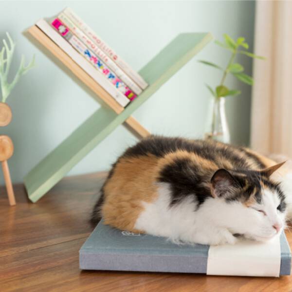 ขาย ชั้นเก็บหนังสือบนโต๊ะ Creative Design Table Book Shelf ลด